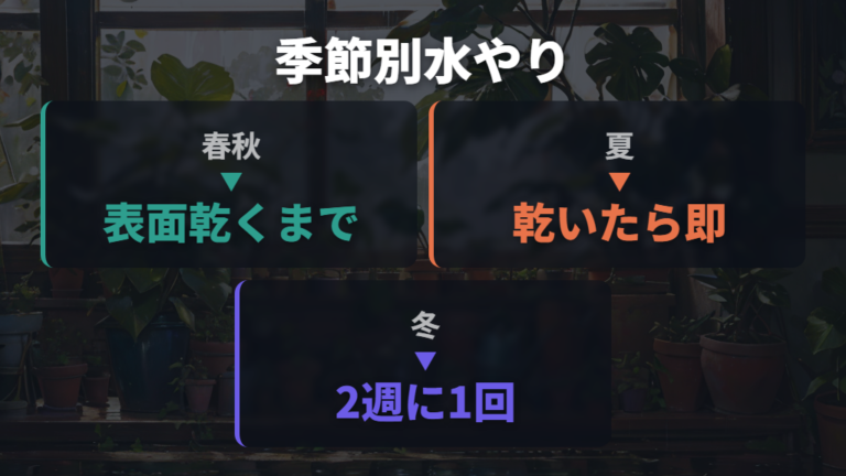 置き場所と水やりのコツは季節で変える