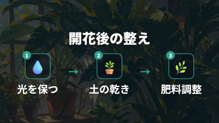 開花後に株を弱らせない管理は水・光・肥料を整える