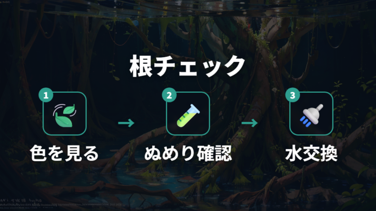 水換えとあわせて根の色とぬめりを確認する