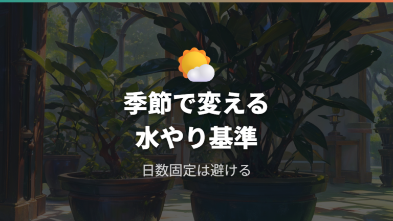 季節別の水やり頻度は日数固定より土の乾きで調整する