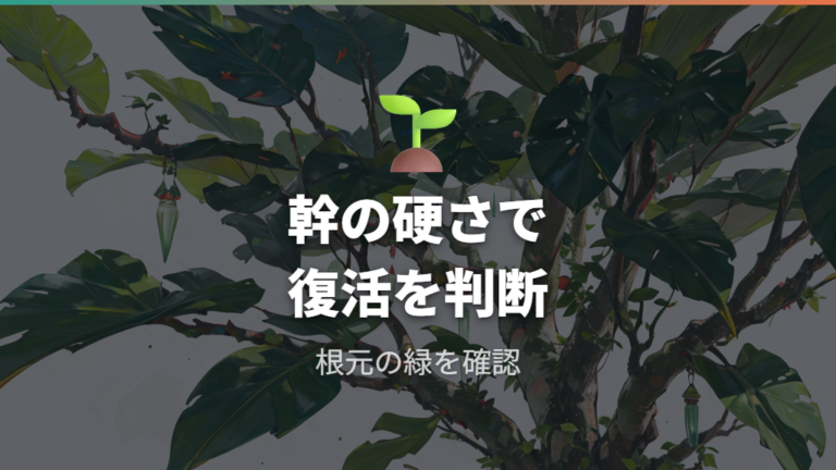 落葉後に復活させる方法は生きている部分を確認する