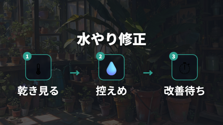 水やりの失敗と立て直しは土の乾きで判断する