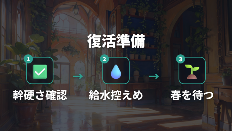 冬に枯れそうな株を復活させる方法は控えめな水と春までの養生