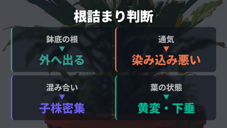 根詰まり時の仕立て直しはいつ必要?