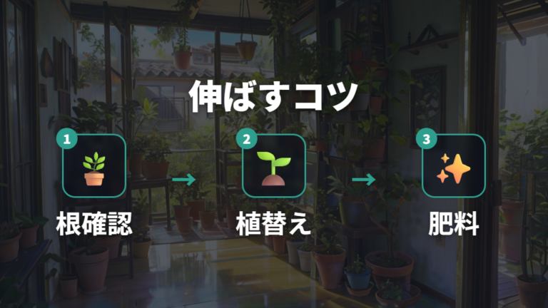 植え替えと肥料で伸ばすコツは時期を外さないこと