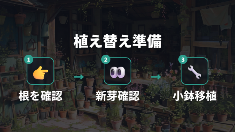 土へ植え替える目安は根の長さと新芽で考える