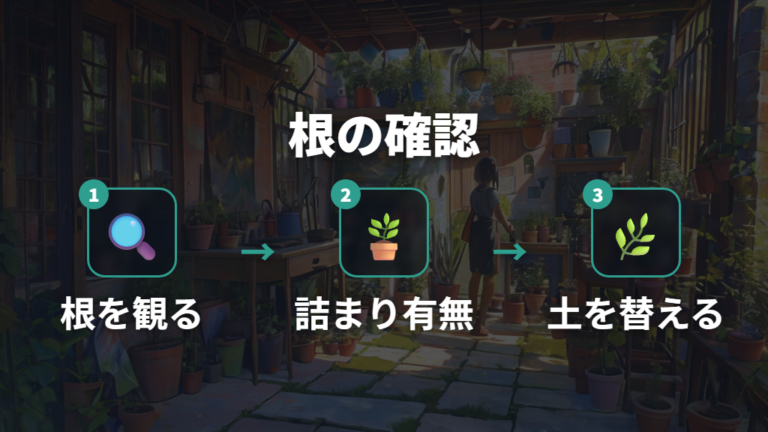 根詰まりによる葉の異変と植え替え判断
