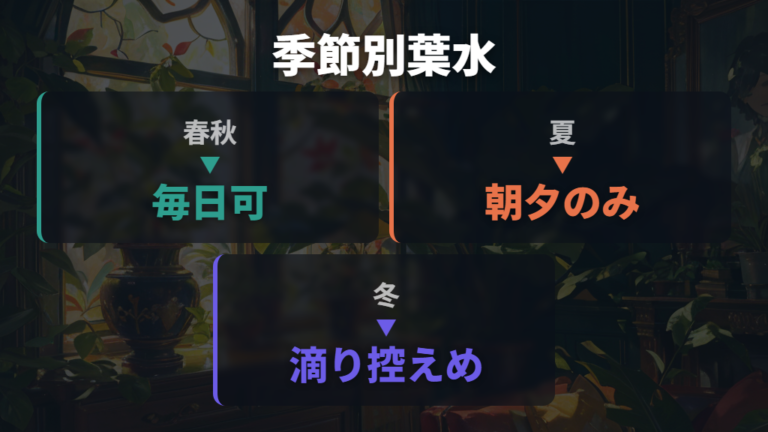 霧吹きと葉水の正しい使い方を季節と量で比べる