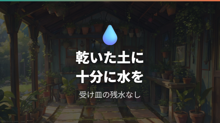葉色を保つ日当たりと水やりは乾かしてからたっぷりが基本