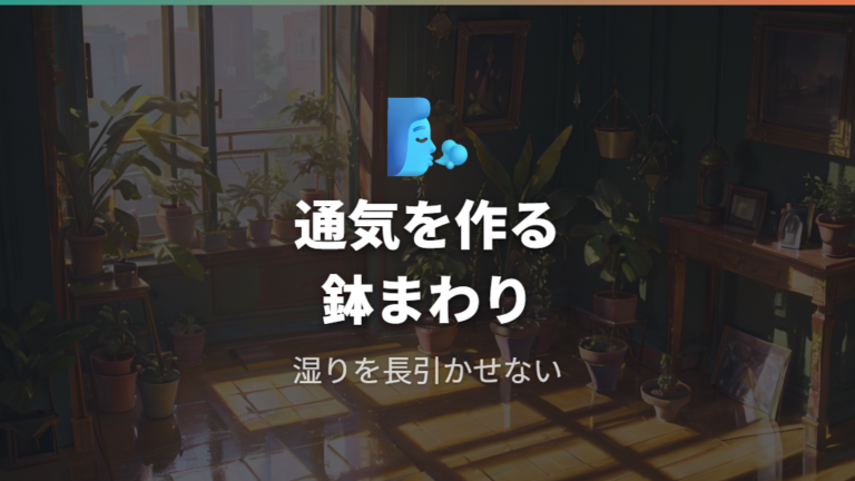 水をためない鉢まわりの管理は通気と上げ底を作る