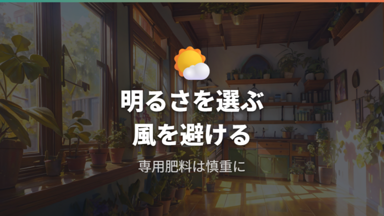置き場所と肥料の管理は明るさと専用肥料で考える