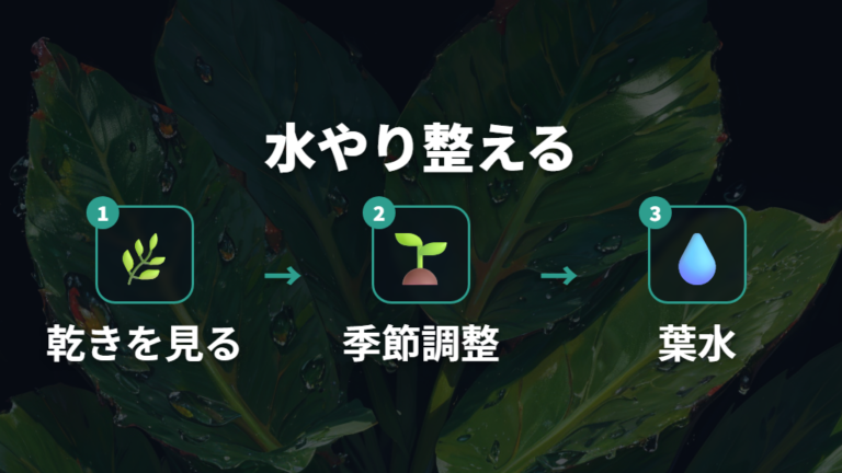 水やり・葉水の見直しで新芽を支える