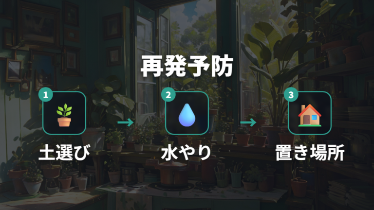 虫を再発させない予防策は土選びと水やりを変える