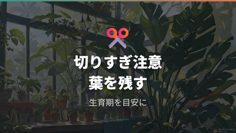 折れた後の剪定と切り戻しは時期と切りすぎに注意する