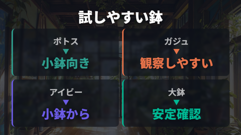 植え替えに使える植物は一般的な小鉢から考える