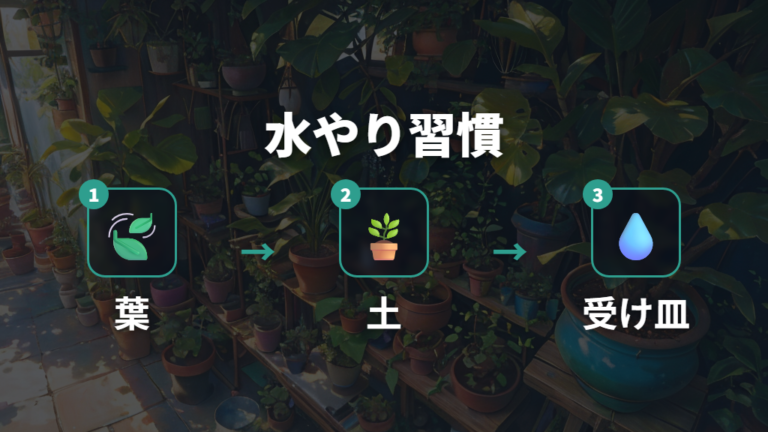 土の乾きで見る水やりタイミングを習慣にする