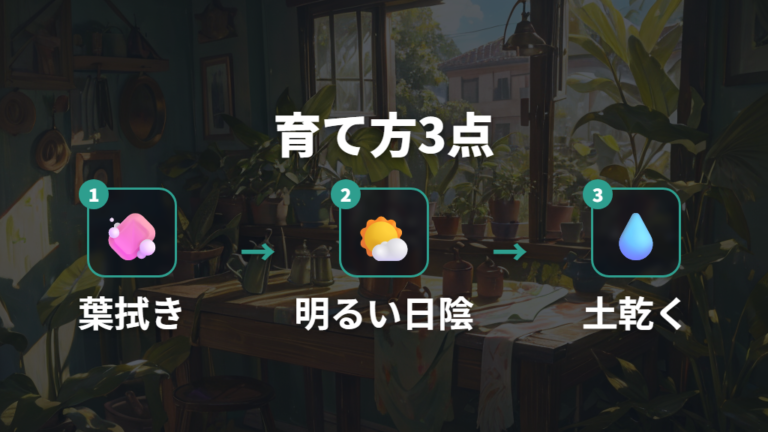 空気清浄を期待する育て方は葉をきれいに保つことから