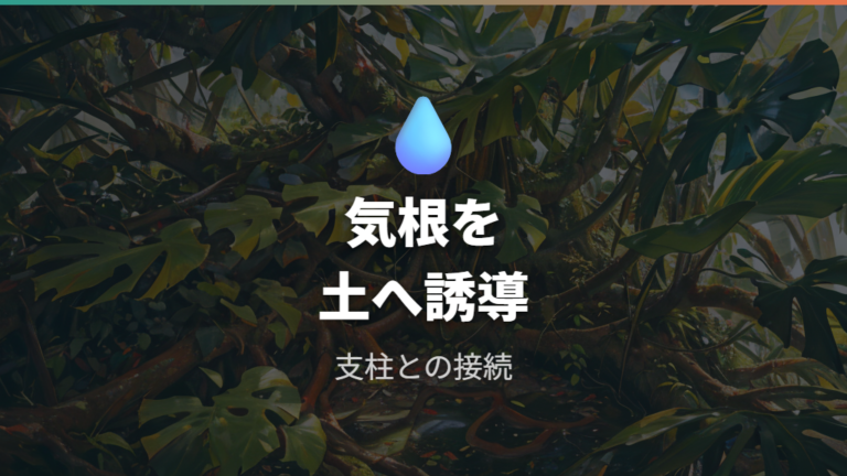 気根を活かして支柱や土へ誘導する