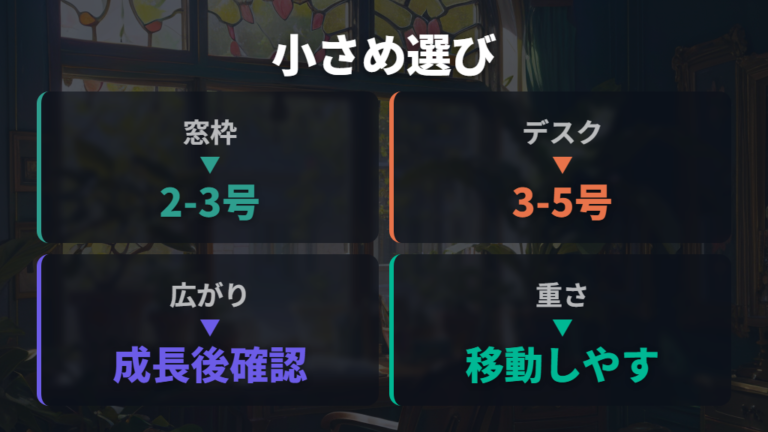 小さめで飾りやすい観葉植物は卓上サイズと成長後で選ぶ