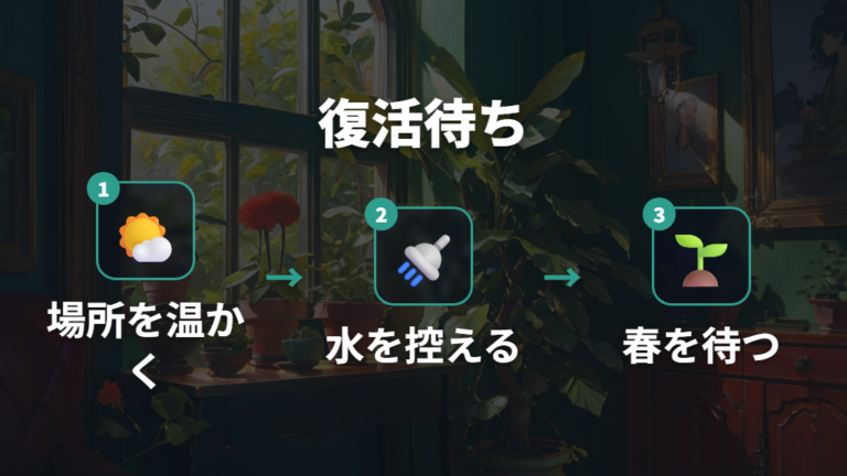 葉が落ちた株の復活待ちは環境を安定させる