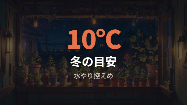 冬に弱らせない管理方法は10℃前後から水を控える