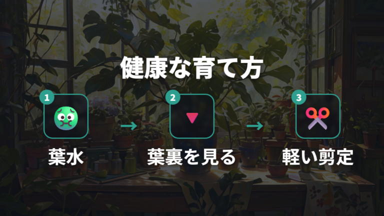 健康に育てて害虫を防ぐコツは葉水と剪定