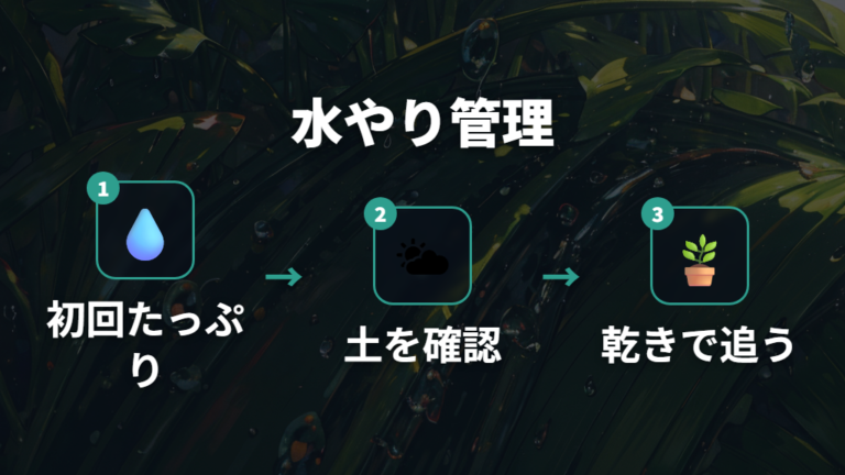 植え替え後の水やり管理は最初だけたっぷり、その後は乾いてから