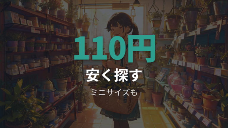安く買える店舗と価格の目安を確認してから探す
