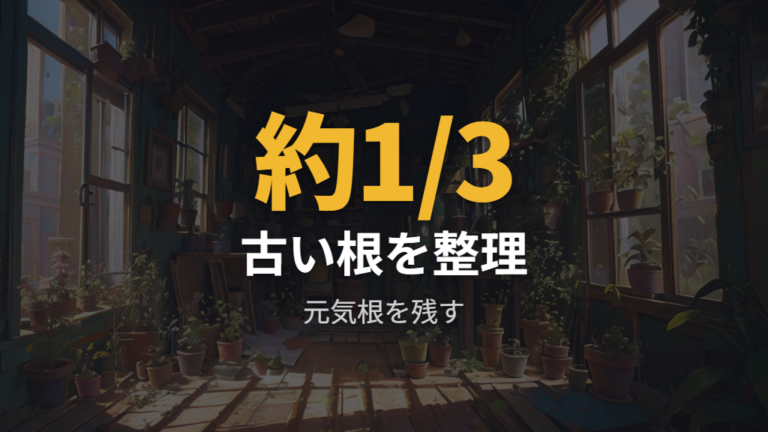根を切る植え替えは傷みや絡みを見て少しずつ整理する