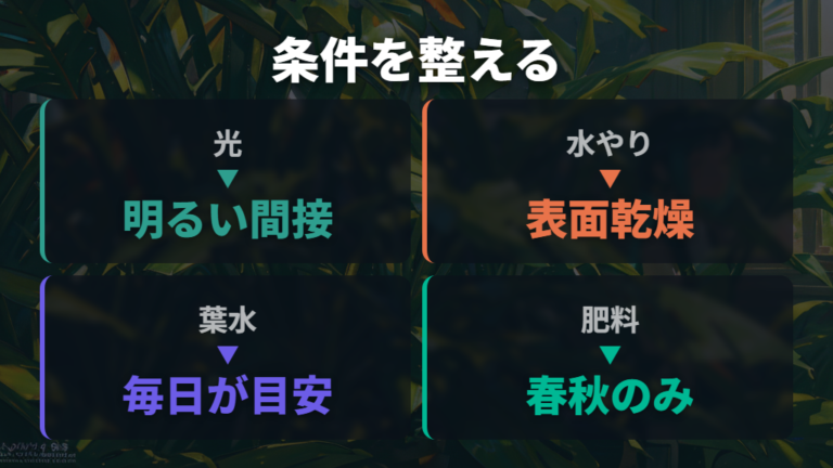 株を健全に保つ育て方の条件を光と乾燥対策から確認する