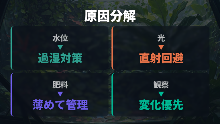 失敗しやすい原因と対策は水位・光・肥料に分ける
