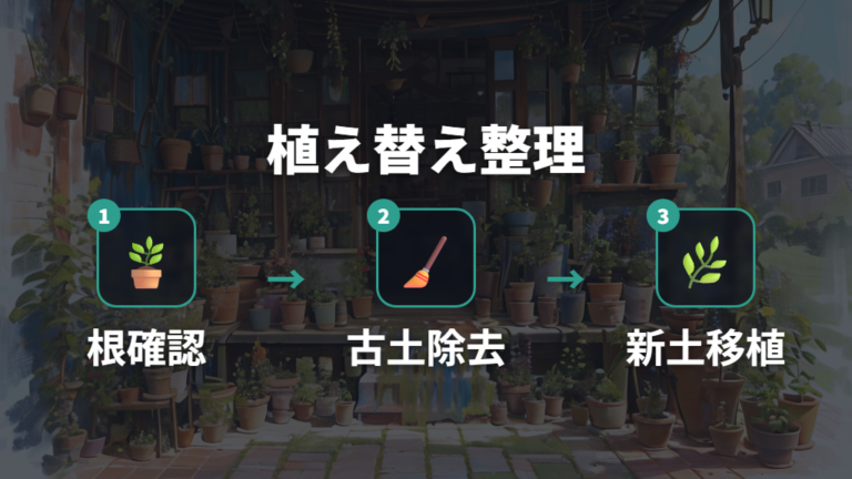 根腐れや根詰まりが疑われる時は植え替えで立て直す