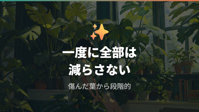 黄色い葉は切るべきか迷う株では一度に切りすぎない