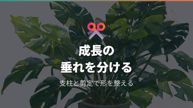 支柱と剪定で姿を整える前に成長の垂れを見極める