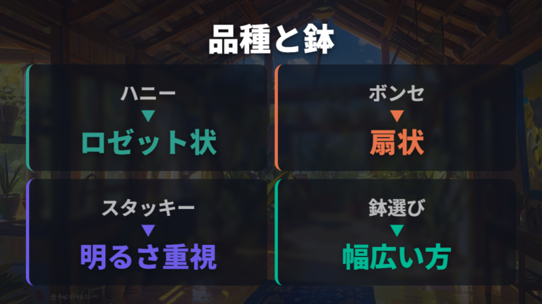 広がりにくい品種と鉢選びを比べる
