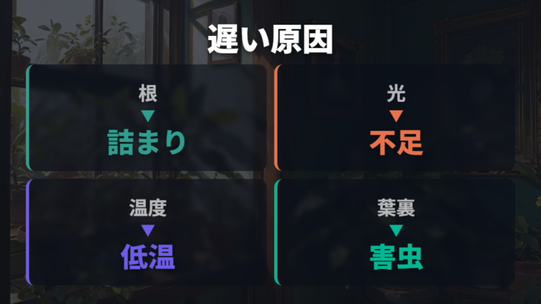 成長が遅いときの原因を根・光・温度から確認する