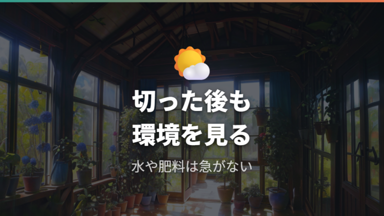 ひょろ長い幹を改善する対策は剪定後の管理まで含める