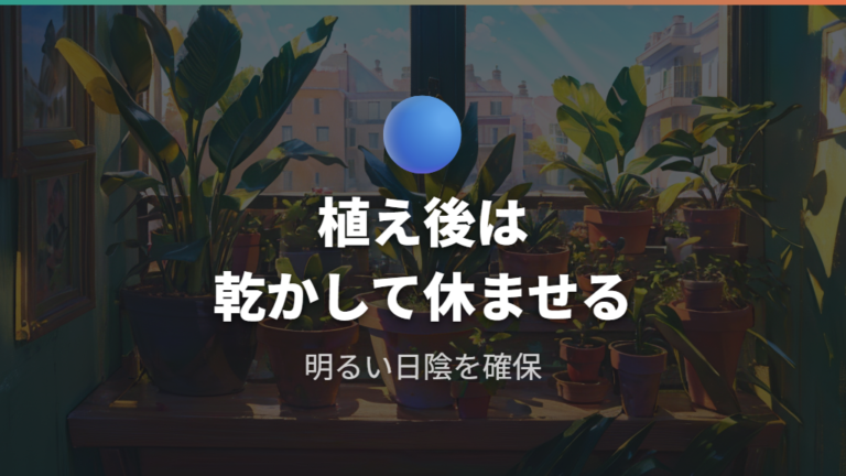 株分け後の植え替え管理は乾燥と日陰が軸