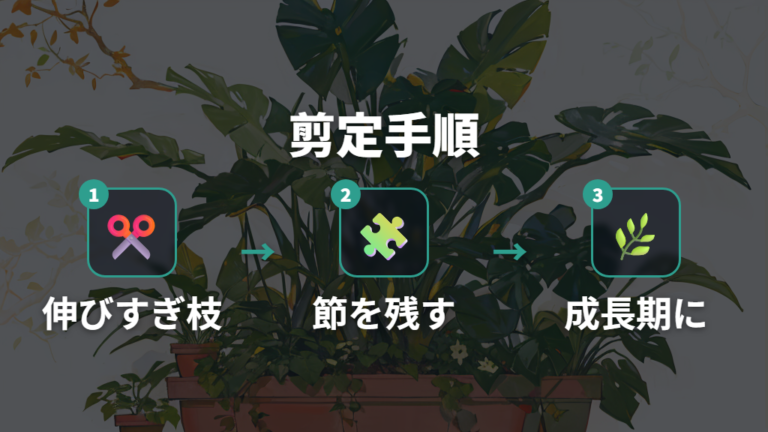 大きくなりすぎた時の剪定は節を残して成長期に行う