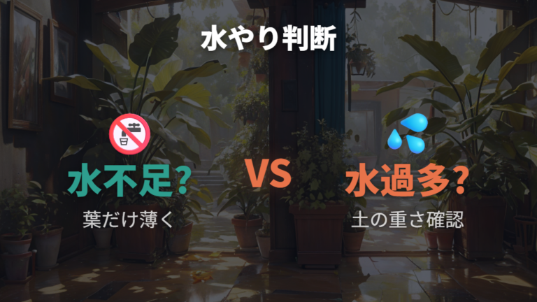 色抜けを招く育て方の失敗は水の与えすぎでも起こる？