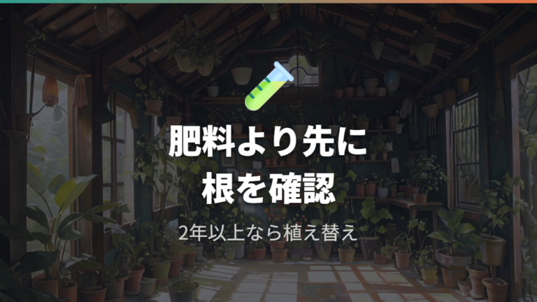 新芽を育てる日常管理で肥料と植え替えを見直す