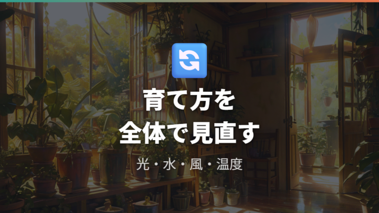 葉っぱが白くなる主な原因を育て方から見直す