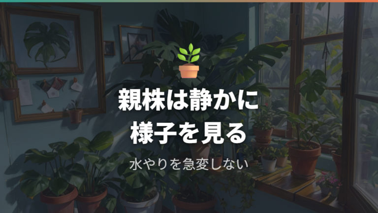 折れた茎の応急処置後に親株を弱らせない管理