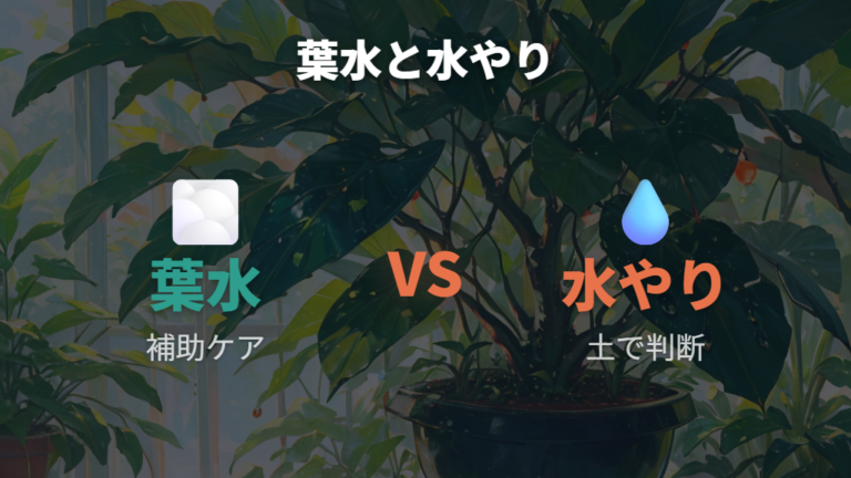 葉がしおれるときの水不足判断に葉水を混同しない