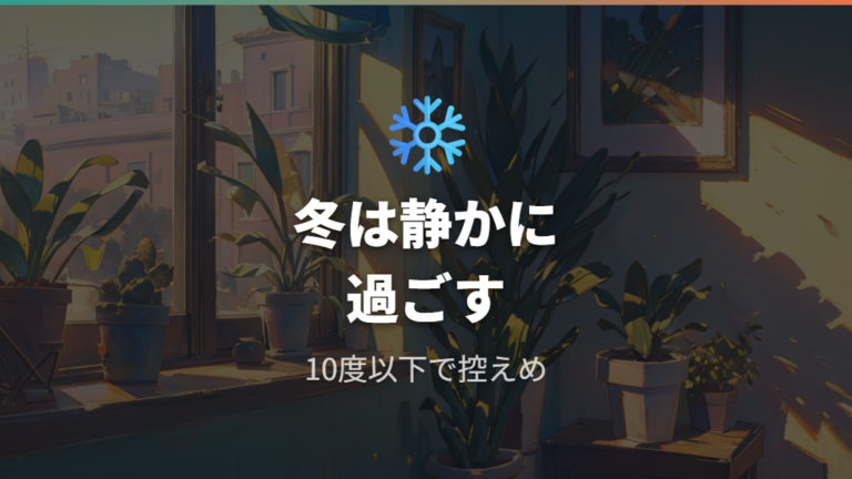 過度に期待しすぎないための注意点は冬の水やりと低温管理