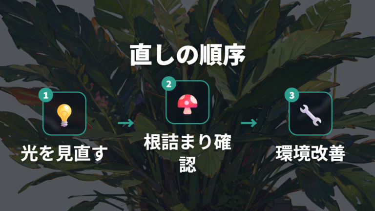 ひょろひょろした幹の直し方は切り戻しと環境改善から