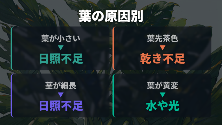 葉が小さい原因と改善策を切り分ける
