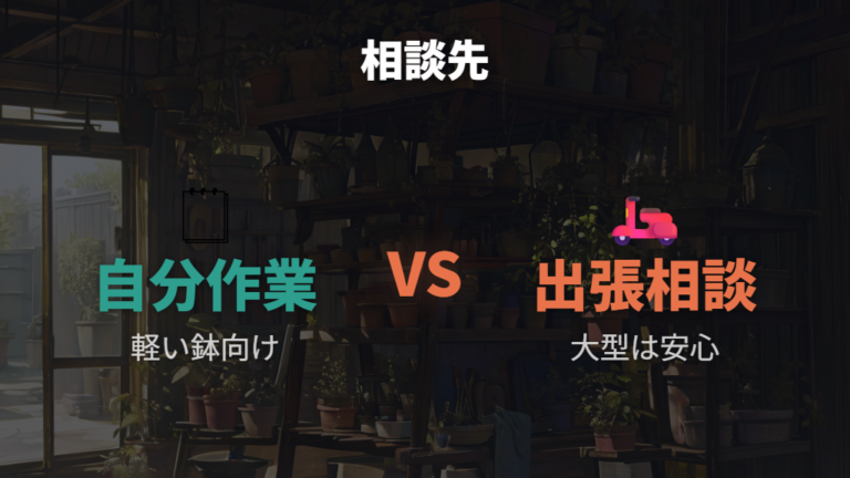 大型や不安な鉢は出張や専門店も候補