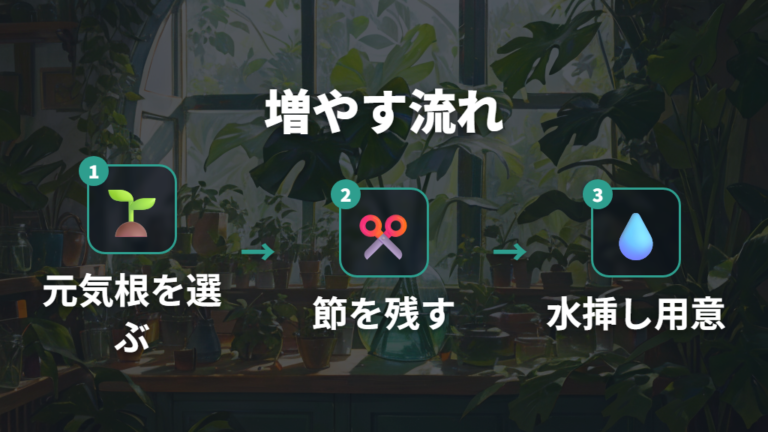 伸びすぎた気根の整え方で増やす選択肢も残せる