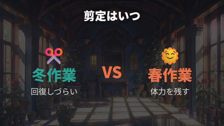 冬に剪定と植え替えを避けたい理由